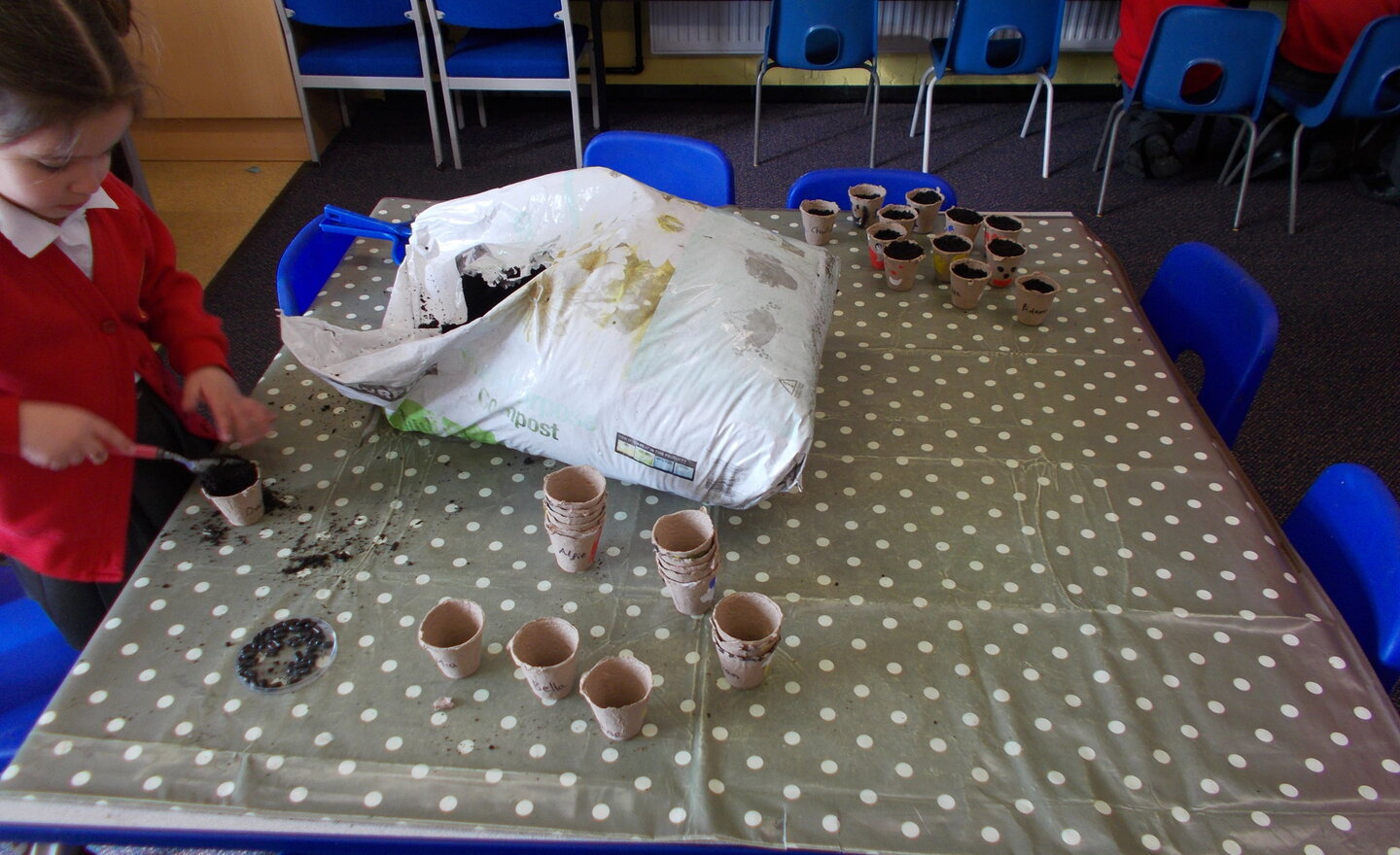 Image of Planting magic beans